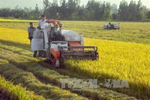 Vietnam, RoK increase agricultural cooperation